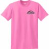 Fastpitch Softball Short Sleeve T-Shirt - Image 4